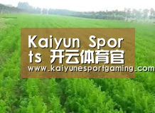 种植基地四