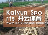 种植基地八