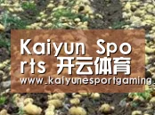 种植基地八(图1)