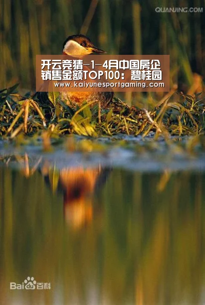 开云竞猜-1-4月中国房企销售金额TOP100：碧桂园、万科、恒大均超2000亿(图1)